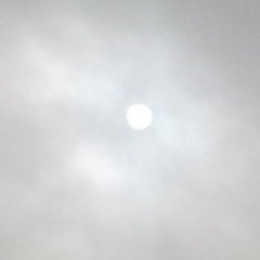 Pale Sun