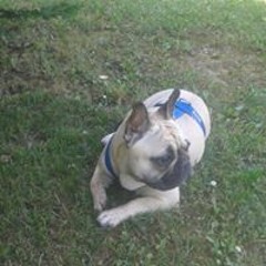 Vicenç Sanchez Pinyol