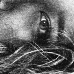 Katharine Berthoulini