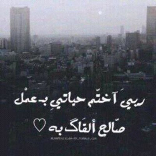 Sharmoofer هيبتا