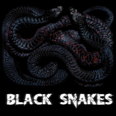 Black snakes