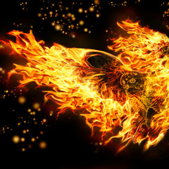 Notes O' Fire