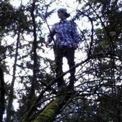 Ezio Auditor'e da Tacoma