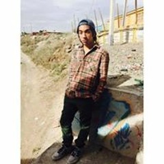 Mauricio Andres Panire
