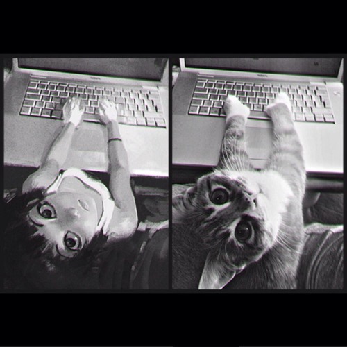 Eden - XO - Monkey - Punch - Remix