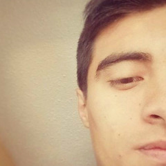 Andres Saenz Meneses