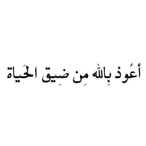 لبس شبكتك يا عريسنا