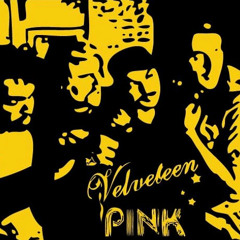 Velveteen Pink