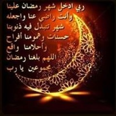 عمر فتحي