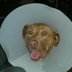 Colm Ó Cearúlláin