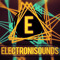 Electronisounds-Sampleism