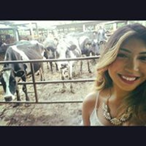 Marisol Jimenez’s avatar