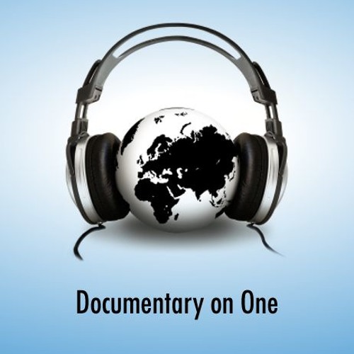Documentary On One, RTÉ’s avatar