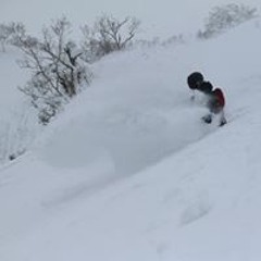 Torgeir Storflor Moen