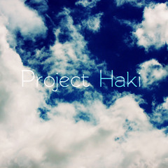 Project Haki