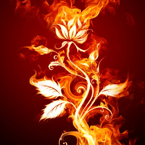 Kingdom Fall - Claire Wyndham