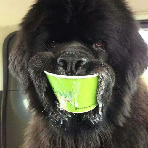 Synthwave Tal Uno Thing