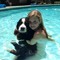 Lauren Bogert