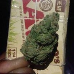 Pepper Jack