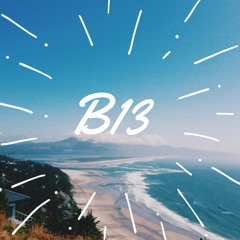 B13