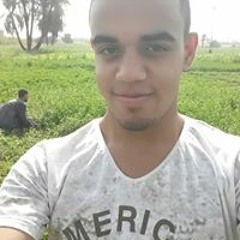 Amr AlaZhry