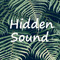 Hidden Sound