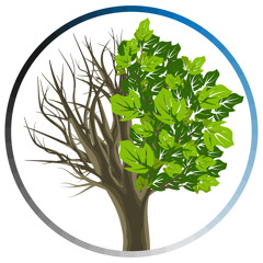 All Things New Studios