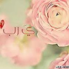 Safaa Zayed