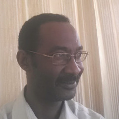 محمد خضر بشير