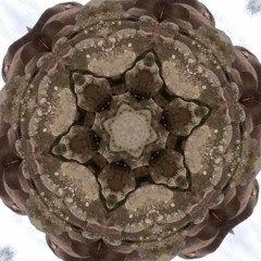 Paco Mendoza Gonzalez