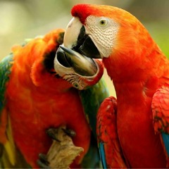 Santiago Sánchez Botero