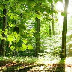 erst1