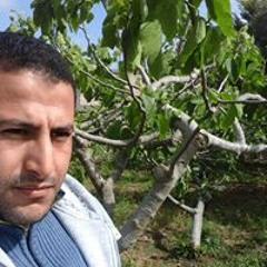Mohamed Shalaby