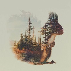 NIVVO