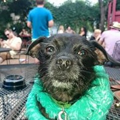 Nico Narum D'Auterive