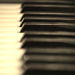 Sound Shed Music Production