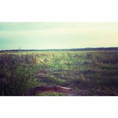 Seekingnewsongtoaddtoplaylists