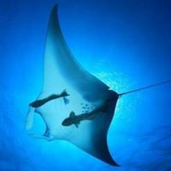 Karina Marcela Palma