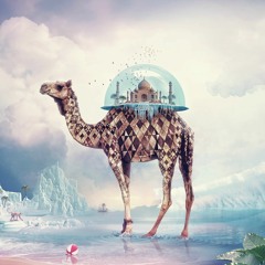 Arctic Camel