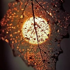 Wasi Shahzad