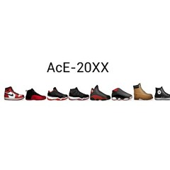 AcE-20XX