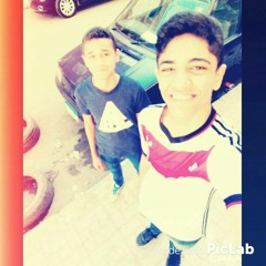 Mohamed S.Taha