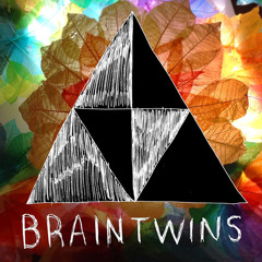 Brain Twins