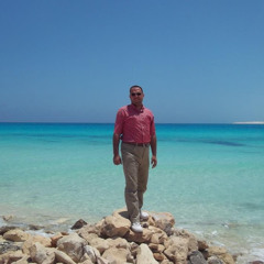 mohamad HAMED