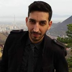 Budeanu Marius Daniel