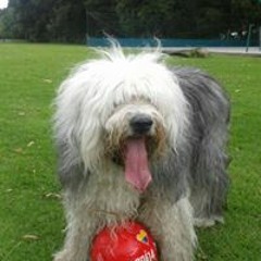 Camilo Eduardo Navarro