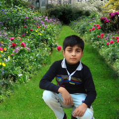 Awais