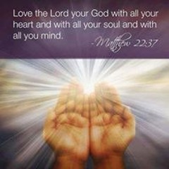 Vilma Fernandez Bradford