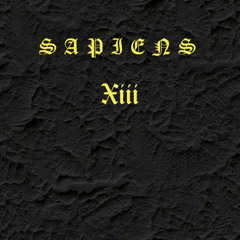 SAPIENSXIII