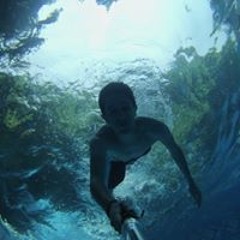 Alfredo M Rodríguez